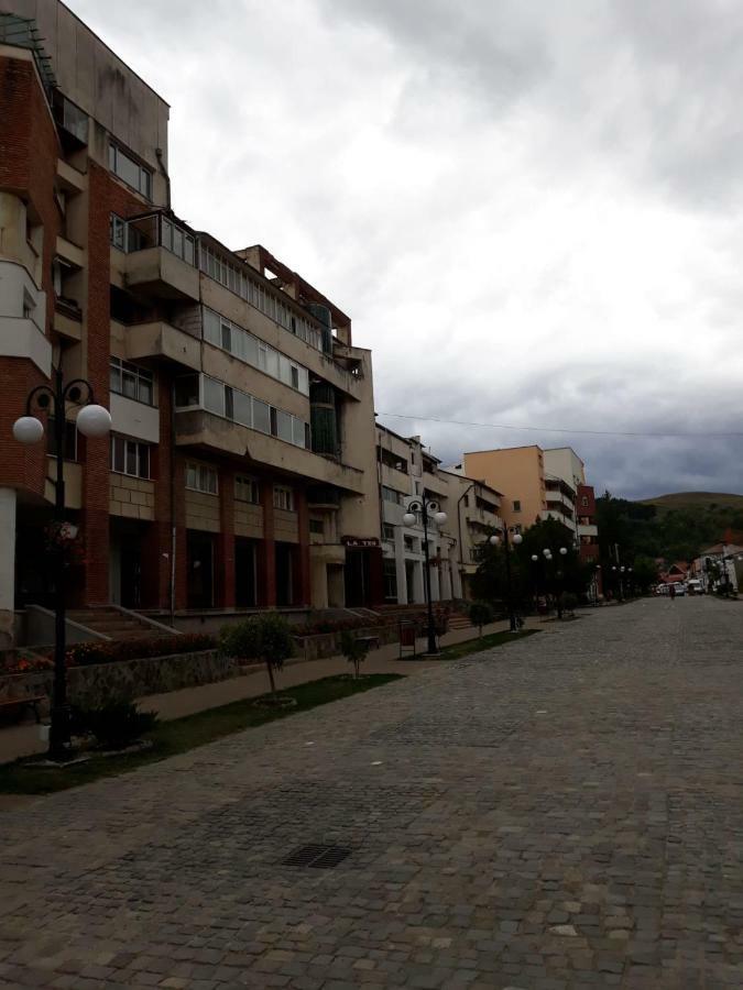 Apartament Apartament Antonia Tîrgu Ocna Zewnętrze zdjęcie